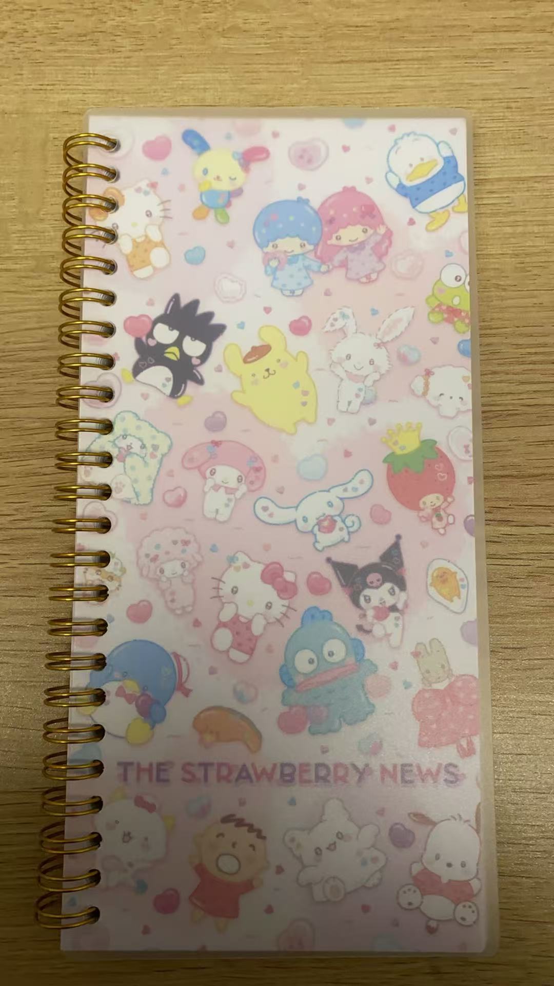 10*21cm journal book
